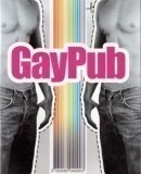 GayPub  (2009)
