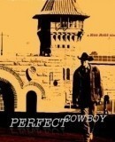 Perfect Cowboy  (2015)