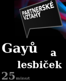 Partnerské vztahy gayů a lesbiček  (2009)