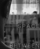 The Space Between  (2016)