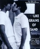 Nagisa no Shindobaddo / Like Grains of Sand  (1995)