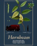 Hornbeam