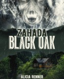 Záhada Black Oak