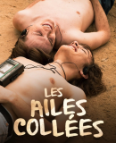 Les ailes collées