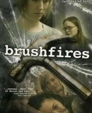 Brushfires  (2004)