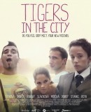 Tigre v meste  (2012)