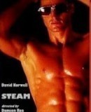 Steam (III)  (2008)