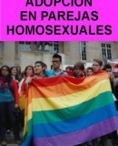 Adopción en parejas homosexuales  (2013)