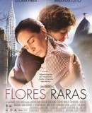 Flores-Raras.jpg