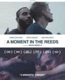 A Moment in the Reeds  (2017)