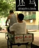 Mi Niao/Stragglers Birds