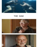 The Dam  (2016)