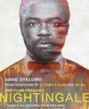 Nightingale / Rozervaná duše  (2014)