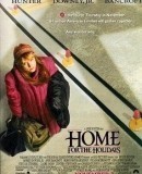 Home for the Holidays / Domů na svátky  (1995)