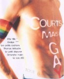 Courts mais GAY: Tome 6  (2003)