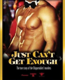 Just Can&#039;t Get Enough / Nikdy toho není dost  (2001)