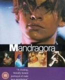 Mandragora  (1997)