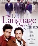 The Lost Language of Cranes  (1991)