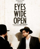 Einaym Pekukhot / Eyes Wide Open / Široce otevřené oči  (2009)