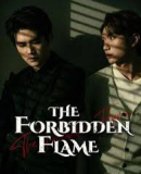 Forbidden Flame