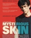 Mysterious Skin  (2004)