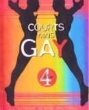 Courts mais Gay: Tome 4  (2002)