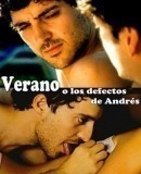 Verano o Los defectos de Andrés  (2006)