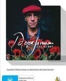 Derek Jarman: Life as Art  (2004)