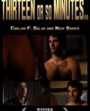 Thirteen or So Minutes  (2008)