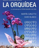 La Orquídea  (2016)