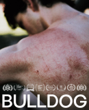 Bulldog