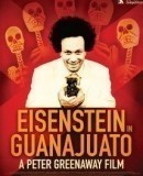 Eisenstein in Guanajuato / Ejzenštejn v Guanajuatu  (2015)