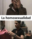 La homosexualidad  (2011)