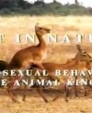 Out in Nature: Homosexual Behaviour in the Animal Kingdom  (2001)