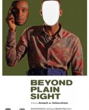 Beyond Plain Sight  (2014)