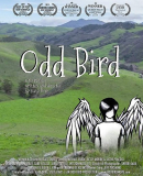 Odd Bird