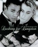 Looking for Langston  (1988)
