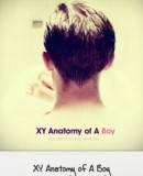 XY Anatomy of a Boy  (2009)