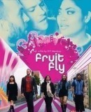 Fruit Fly  (2009)