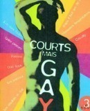 Courts mais Gay: Tome 3  (2002)