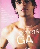 Courts mais GAY: Tome 12  (2006)