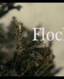 Flocker  (2016)