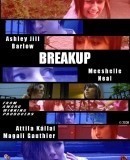 Breakup  (2009)