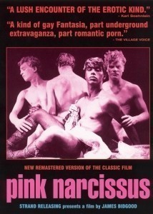 Pink Narcissus  (1971)