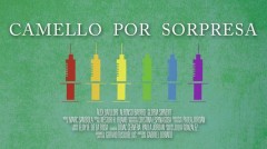 Camello por sorpresa  (2014)