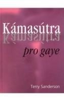 Kámasútra pro gaye (Sanderson Terry)