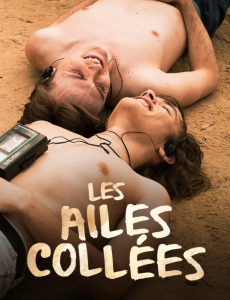 Les ailes collées