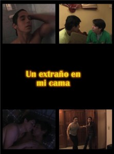 Un extraño en mi cama  (2010)