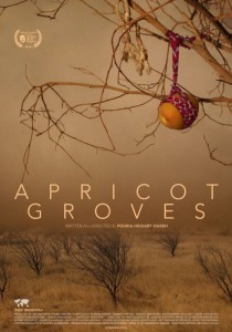 Apricot Groves  (2016)