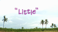 Little  (2009)